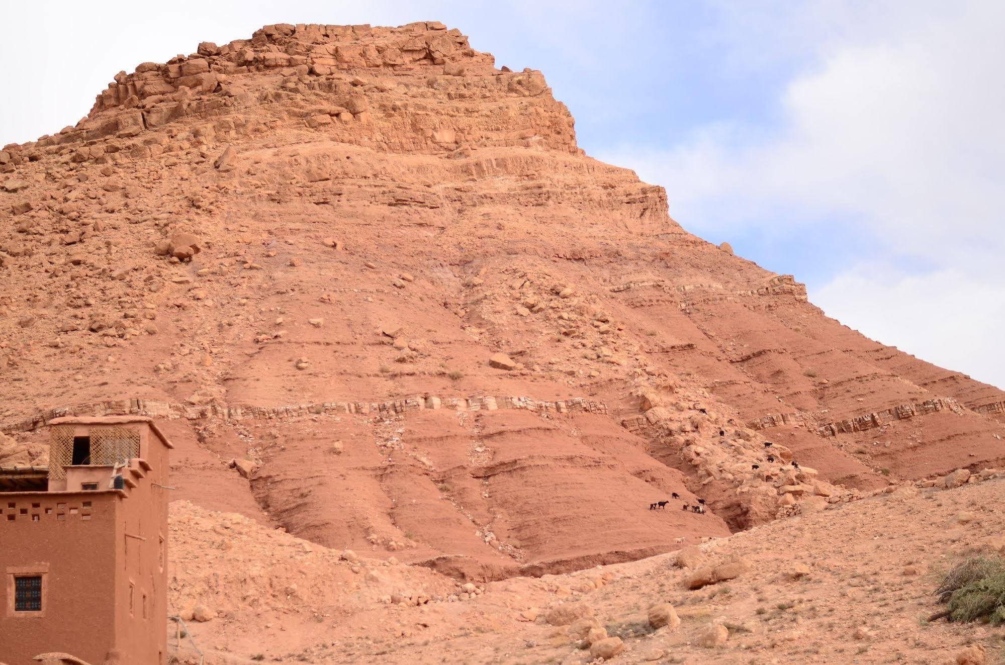مبيت وإفطار آيت بن حدو Kasbah Du Peintre المظهر الخارجي الصورة